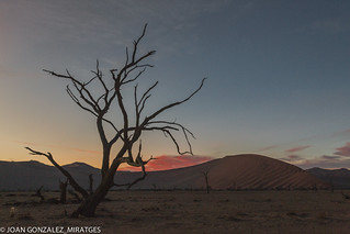 NAMIBIA 2026 (Joan Gonz&aacute;lez_Miratges)