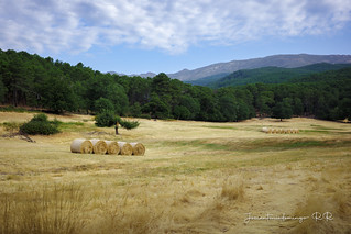 Campos de La Adrada (Jos&eacute; Antonio Domingo RODR&Iacute;GUEZ RODR&Iacute;GUEZ)