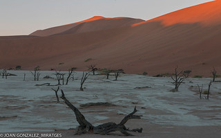 NAMIBIA - DEAD VLEI 2026 (Joan Gonz&aacute;lez_Miratges)