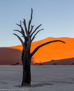 NAMIBIA - DEAD VLEI 2026937 (Joan Gonz&aacute;lez_Miratges)