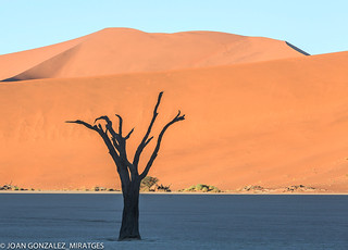 NAMIBIA - DEAD VLEI 2026 (Joan Gonz&aacute;lez_Miratges)