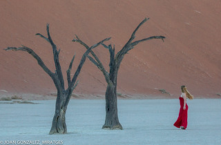 NAMIBIA - DEAD VLEI 2026 (Joan Gonz&aacute;lez_Miratges)