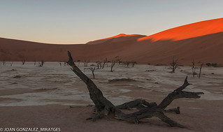 NAMIBIA - DEAD VLEI 2026 (Joan Gonz&aacute;lez_Miratges)