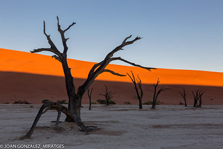 NAMIBIA - DEAD VLEI 2026 (Joan Gonz&aacute;lez_Miratges)