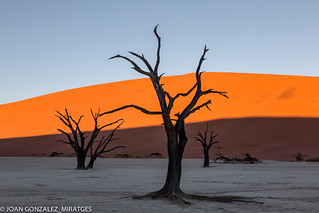 NAMIBIA - DEAD VLEI 2026 (Joan Gonz&aacute;lez_Miratges)