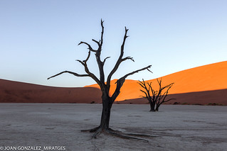NAMIBIA - DEAD VLEI 2026 (Joan Gonz&aacute;lez_Miratges)