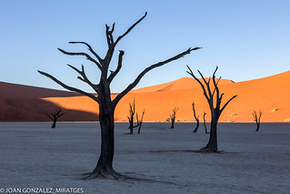 NAMIBIA - DEAD VLEI 2026 (Joan Gonz&aacute;lez_Miratges)