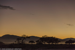 NAMIBIA - DEAD VLEI 2026 (Joan Gonz&aacute;lez_Miratges)