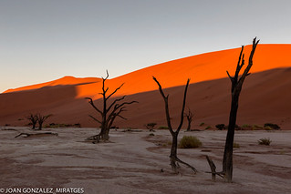 NAMIBIA - DEAD VLEI 2026 (Joan Gonz&aacute;lez_Miratges)