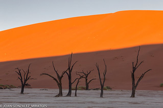 NAMIBIA - DEAD VLEI 2026 (Joan Gonz&aacute;lez_Miratges)