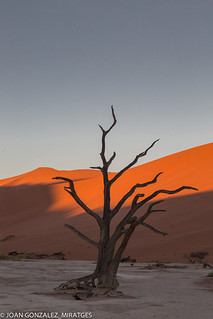 NAMIBIA - DEAD VLEI 2026 (Joan Gonz&aacute;lez_Miratges)