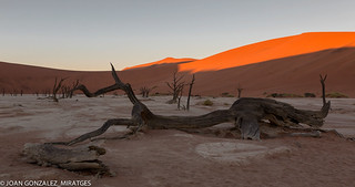 NAMIBIA - DEAD VLEI 2026 (Joan Gonz&aacute;lez_Miratges)