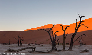 NAMIBIA - DEAD VLEI 2026 (Joan Gonz&aacute;lez_Miratges)
