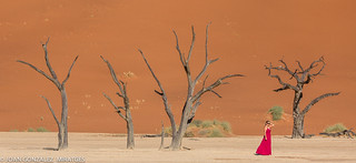 NAMIBIA - DEAD VLEI 2026 (Joan Gonz&aacute;lez_Miratges)