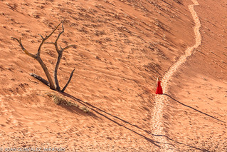 NAMIBIA - DEAD VLEI 2026 (Joan Gonz&aacute;lez_Miratges)