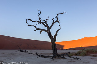 NAMIBIA - DEAD VLEI 2026 (Joan Gonz&aacute;lez_Miratges)