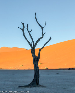 NAMIBIA - DEAD VLEI 2026 (Joan Gonz&aacute;lez_Miratges)