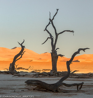 NAMIBIA - DEAD VLEI 2026 (Joan Gonz&aacute;lez_Miratges)