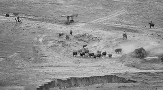 La jornada se escribe en tierra y sudor... (B.Rufo)