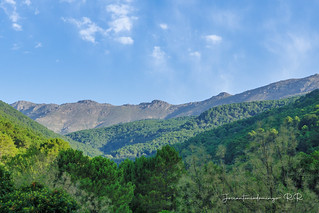 Sierra de Gredos (Jos&eacute; Antonio Domingo RODR&Iacute;GUEZ RODR&Iacute;GUEZ)