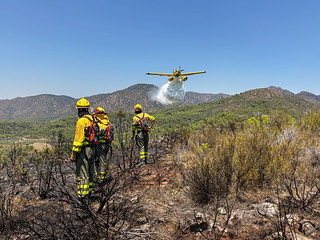 Incendios. (J.G.Sansano)