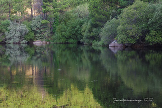 Presa de la Colmenilla (Jos&eacute; Antonio Domingo RODR&Iacute;GUEZ RODR&Iacute;GUEZ)
