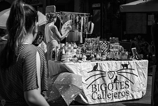 Bigotes callejeros (Egg2704)