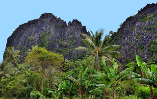 Repos de Lind&eacute;ralique, New Caledonia. (Philip Wood Photography)