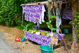 East Coast Roadside Stall, New Caledonia (Philip Wood Photography)
