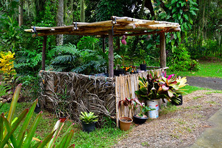 East Coast Roadside Stall, New Caledonia (Philip Wood Photography)