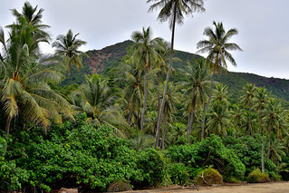 Lebris Bay, New CaledoniaLebris Bay, New Caledonia (Philip Wood Photography)