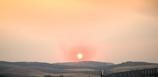 IMG_9640 (avempace2)