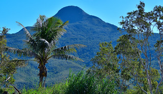 Central Highlands of New Caledonia. (Philip Wood Photography)