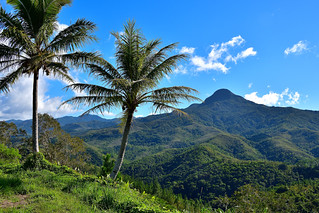 Central Highlands of New Caledonia. (Philip Wood Photography)