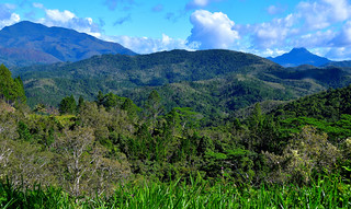 Central Highlands of New Caledonia. (Philip Wood Photography)