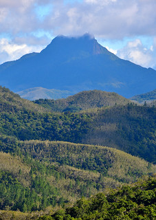 Central Highlands of New Caledonia. (Philip Wood Photography)