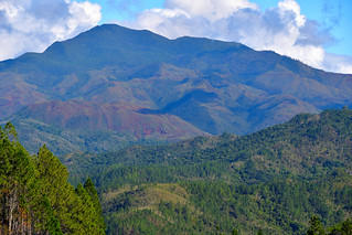 Central Highlands of New Caledonia. (Philip Wood Photography)