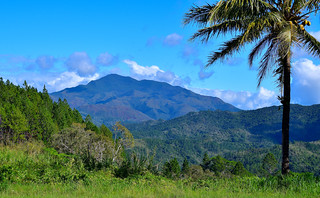 Central Highlands of New Caledonia. (Philip Wood Photography)