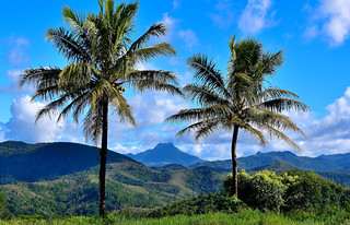 Central Highlands of New Caledonia. (Philip Wood Photography)