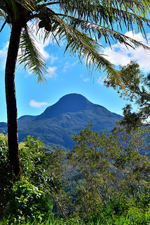 Central Highlands of New Caledonia. (Philip Wood Photography)