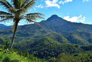 Central Highlands of New Caledonia. (Philip Wood Photography)