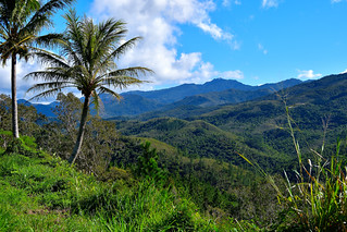 Central Highlands of New Caledonia. (Philip Wood Photography)