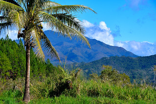 Central Highlands of New Caledonia. (Philip Wood Photography)