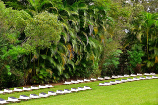 Bourail New Zealand World War 2 Cemetery, New Calidonia. (Philip Wood Photography)
