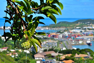 Notre Dame Du Pacifique, Noumea, New Caledonia. (Philip Wood Photography)