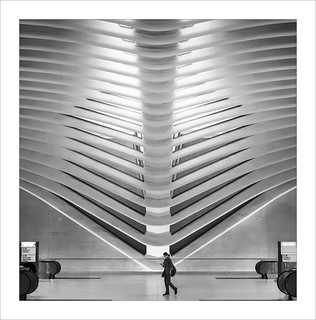 USA Oculus. (ximo rosell)