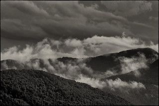 El vent del vers s'enlaira (fotopsia.cat)