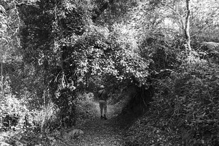 El caminante solitario... (B.Rufo)