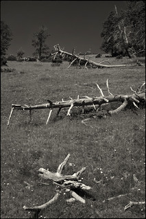 Cap cots i en silenci (fotopsia.cat)