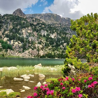Estany de Malniu. (josepponsibusquet.)